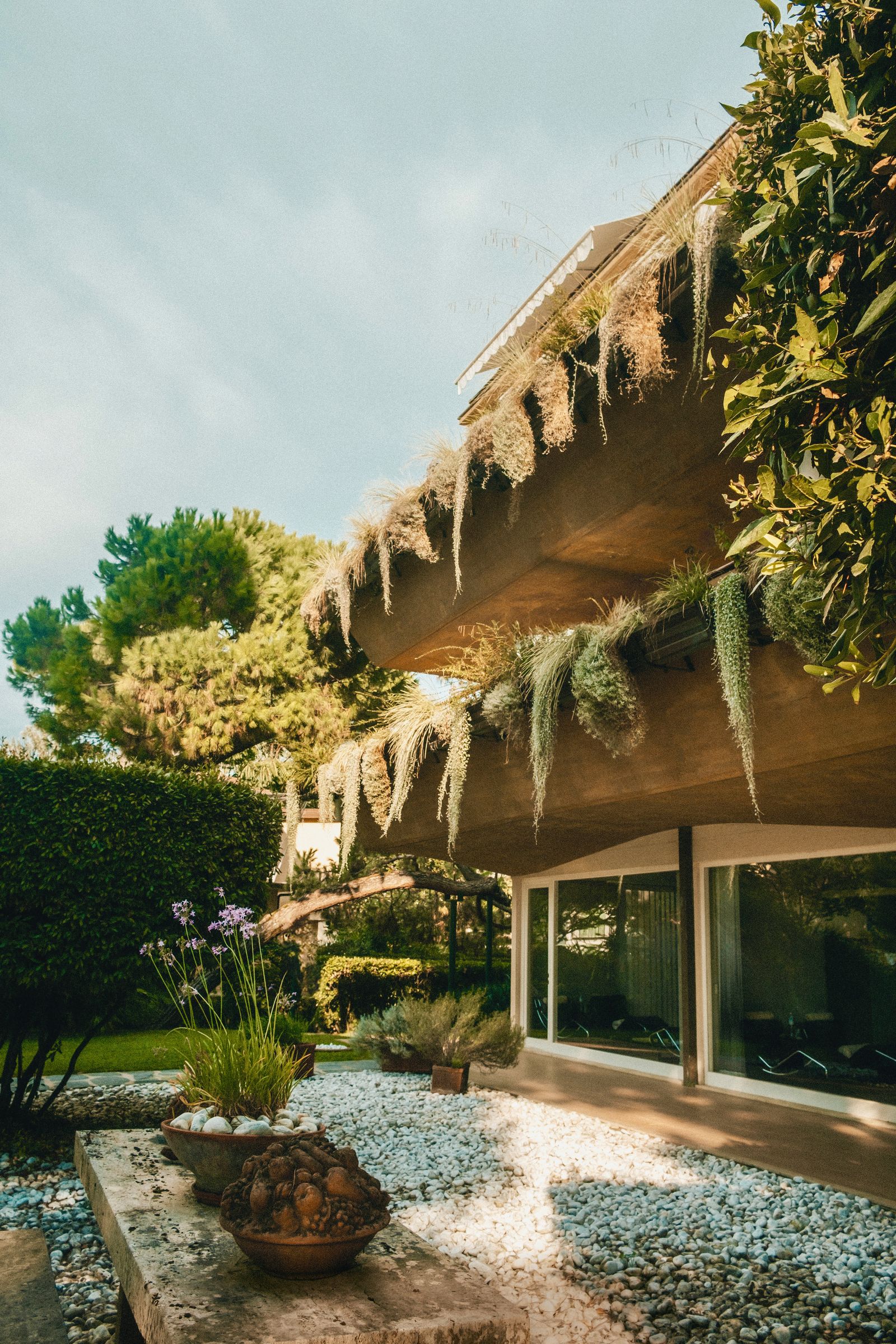 Image may contain Plant Potted Plant Jar Planter Pottery Vase Architecture Building House Housing and Villa