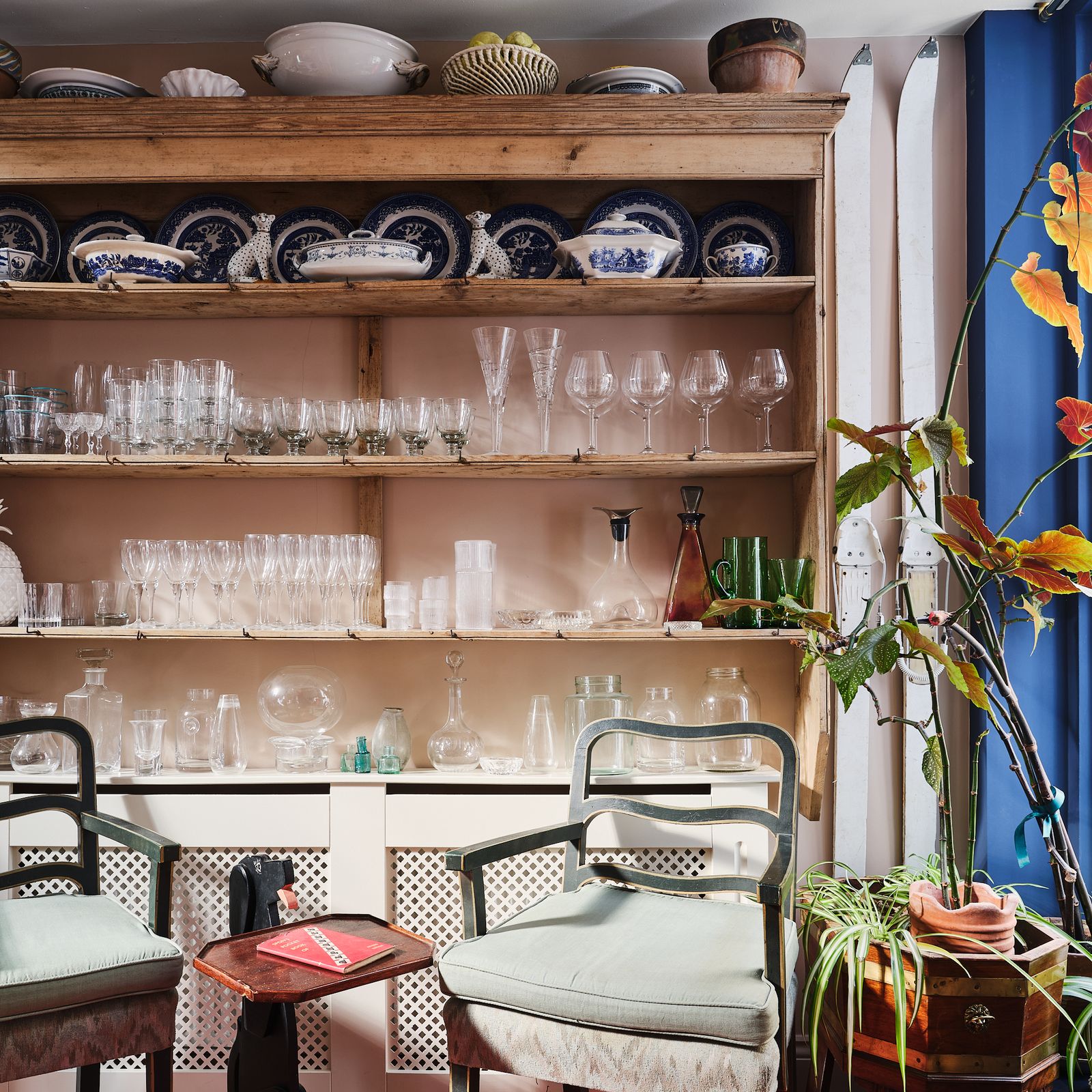Clever design ideas for displaying any kind of collection