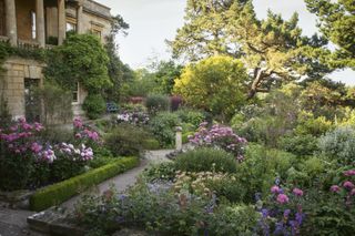 Image may contain Garden Outdoors Arbour Plant Flower Blossom Human and Person