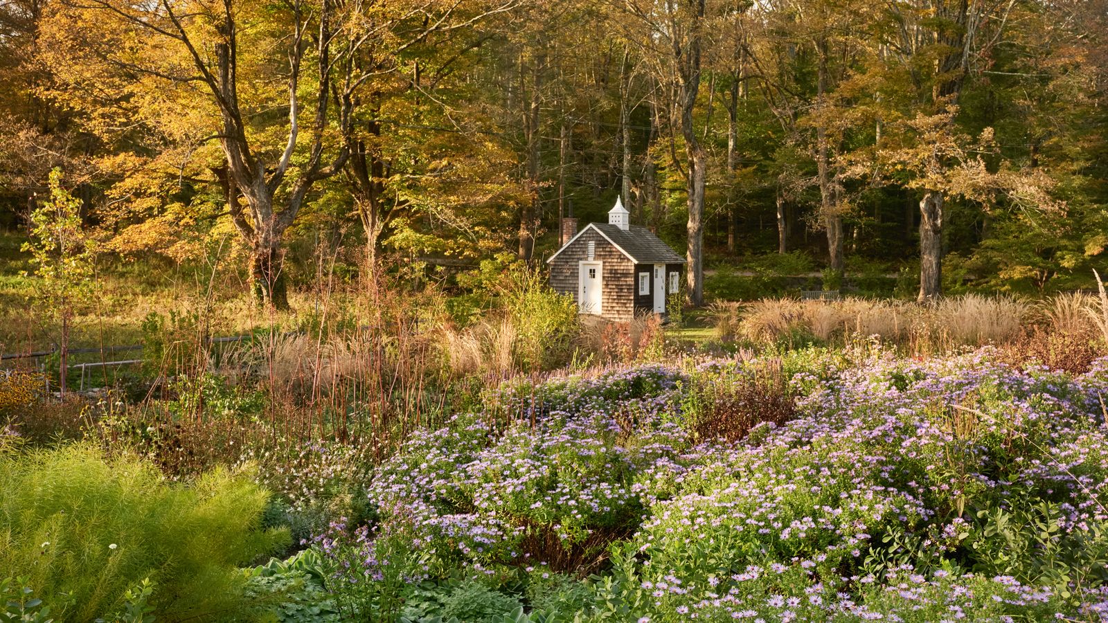 House & Garden's Top 50 garden designers for 2025