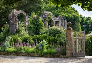 Image may contain Garden Outdoors Arbour Flagstone Plant Gate Patio Flower Lupin and Blossom