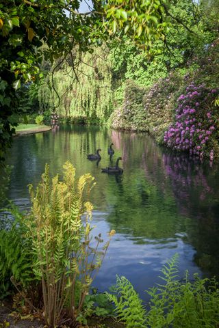 Thirty years after creating the timeless gardens at Shute House in Dorset landscape architect Sir Geoffrey Jellicoe was...
